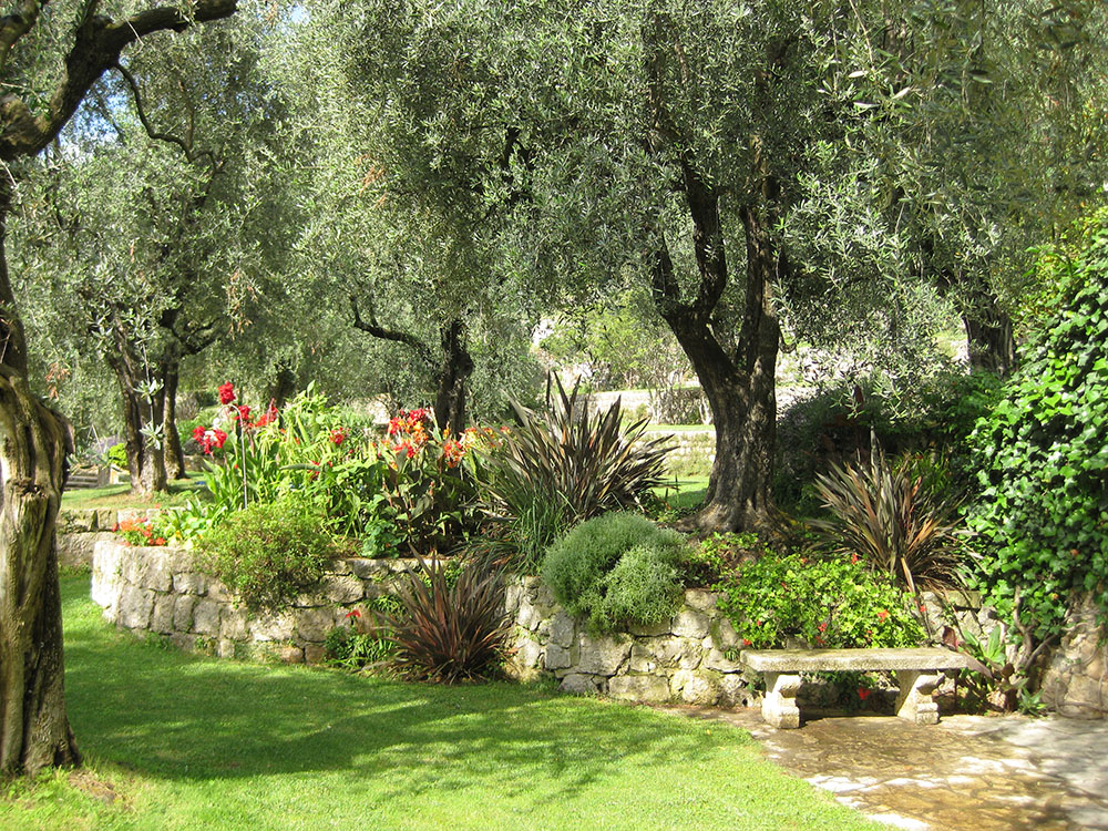 The Garden